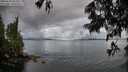 ./images/koeye/fitz-hugh/20250618/fitz-hugh20250618_061011M.jpg