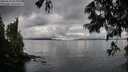 ./images/koeye/fitz-hugh/20250618/fitz-hugh20250618_062011M.jpg