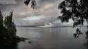 ./images/koeye/fitz-hugh/20250618/fitz-hugh20250618_062511M.jpg