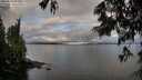./images/koeye/fitz-hugh/20250618/fitz-hugh20250618_063511M.jpg