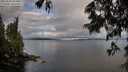 ./images/koeye/fitz-hugh/20250618/fitz-hugh20250618_064011M.jpg