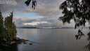./images/koeye/fitz-hugh/20250618/fitz-hugh20250618_065010M.jpg