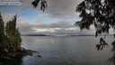 ./images/koeye/fitz-hugh/20250618/fitz-hugh20250618_065509M.jpg