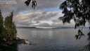 ./images/koeye/fitz-hugh/20250618/fitz-hugh20250618_070508M.jpg