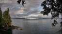 ./images/koeye/fitz-hugh/20250618/fitz-hugh20250618_071010M.jpg