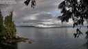./images/koeye/fitz-hugh/20250618/fitz-hugh20250618_071509M.jpg