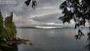 ./images/koeye/fitz-hugh/20250618/fitz-hugh20250618_072011M.jpg