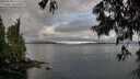 ./images/koeye/fitz-hugh/20250618/fitz-hugh20250618_072511M.jpg