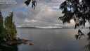 ./images/koeye/fitz-hugh/20250618/fitz-hugh20250618_073508M.jpg