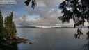 ./images/koeye/fitz-hugh/20250618/fitz-hugh20250618_074011M.jpg
