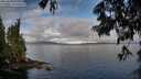 ./images/koeye/fitz-hugh/20250618/fitz-hugh20250618_075011M.jpg