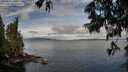 ./images/koeye/fitz-hugh/20250618/fitz-hugh20250618_080012M.jpg