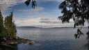 ./images/koeye/fitz-hugh/20250618/fitz-hugh20250618_081011M.jpg