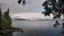 ./images/koeye/fitz-hugh/20250618/fitz-hugh20250618_082510M.jpg