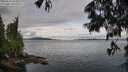 ./images/koeye/fitz-hugh/20250618/fitz-hugh20250618_083011M.jpg