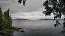 ./images/koeye/fitz-hugh/20250618/fitz-hugh20250618_083509M.jpg