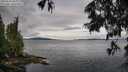 ./images/koeye/fitz-hugh/20250618/fitz-hugh20250618_084009M.jpg