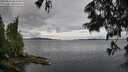 ./images/koeye/fitz-hugh/20250618/fitz-hugh20250618_084510M.jpg