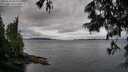 ./images/koeye/fitz-hugh/20250618/fitz-hugh20250618_085010M.jpg