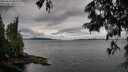 ./images/koeye/fitz-hugh/20250618/fitz-hugh20250618_085510M.jpg