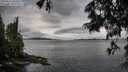 ./images/koeye/fitz-hugh/20250618/fitz-hugh20250618_090012M.jpg
