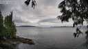 ./images/koeye/fitz-hugh/20250618/fitz-hugh20250618_090510M.jpg