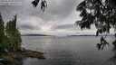 ./images/koeye/fitz-hugh/20250618/fitz-hugh20250618_091011M.jpg