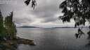 ./images/koeye/fitz-hugh/20250618/fitz-hugh20250618_091510M.jpg