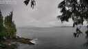./images/koeye/fitz-hugh/20250618/fitz-hugh20250618_093012M.jpg