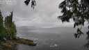 ./images/koeye/fitz-hugh/20250618/fitz-hugh20250618_094011M.jpg