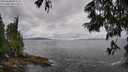 ./images/koeye/fitz-hugh/20250618/fitz-hugh20250618_094510M.jpg