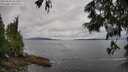 ./images/koeye/fitz-hugh/20250618/fitz-hugh20250618_101009M.jpg