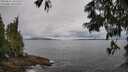 ./images/koeye/fitz-hugh/20250618/fitz-hugh20250618_102509M.jpg