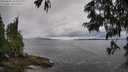 ./images/koeye/fitz-hugh/20250618/fitz-hugh20250618_103510M.jpg