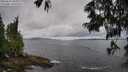 ./images/koeye/fitz-hugh/20250618/fitz-hugh20250618_104010M.jpg