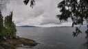./images/koeye/fitz-hugh/20250618/fitz-hugh20250618_105010M.jpg