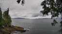 ./images/koeye/fitz-hugh/20250618/fitz-hugh20250618_105510M.jpg