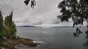 ./images/koeye/fitz-hugh/20250618/fitz-hugh20250618_110012M.jpg