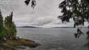 ./images/koeye/fitz-hugh/20250618/fitz-hugh20250618_110510M.jpg