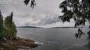 ./images/koeye/fitz-hugh/20250618/fitz-hugh20250618_111510M.jpg