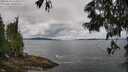 ./images/koeye/fitz-hugh/20250618/fitz-hugh20250618_113508M.jpg