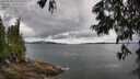 ./images/koeye/fitz-hugh/20250618/fitz-hugh20250618_122509M.jpg