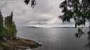 ./images/koeye/fitz-hugh/20250618/fitz-hugh20250618_124509M.jpg