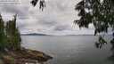 ./images/koeye/fitz-hugh/20250618/fitz-hugh20250618_131010M.jpg