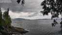 ./images/koeye/fitz-hugh/20250618/fitz-hugh20250618_133012M.jpg