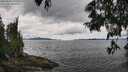 ./images/koeye/fitz-hugh/20250618/fitz-hugh20250618_133509M.jpg