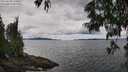 ./images/koeye/fitz-hugh/20250618/fitz-hugh20250618_134010M.jpg