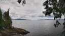 ./images/koeye/fitz-hugh/20250618/fitz-hugh20250618_134511M.jpg
