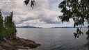 ./images/koeye/fitz-hugh/20250618/fitz-hugh20250618_140012M.jpg