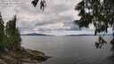 ./images/koeye/fitz-hugh/20250618/fitz-hugh20250618_140510M.jpg